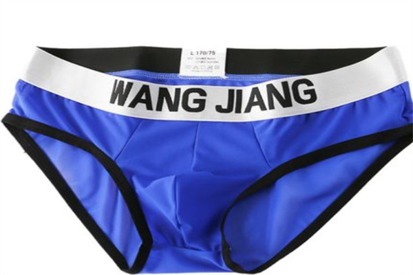 网将WJ男士内衣加盟