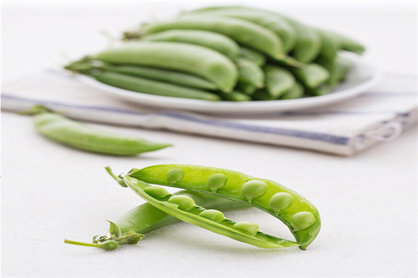 百鲜蔬菜果园加盟