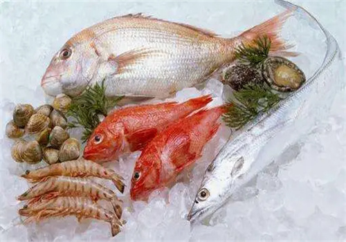 陈佳海鲜