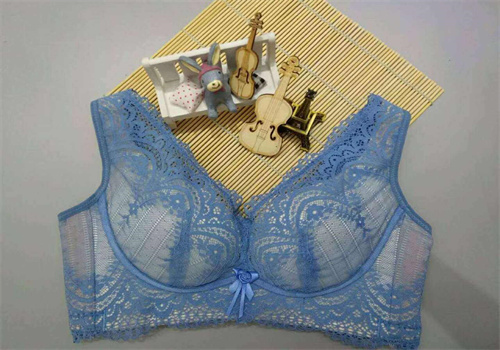 戴妃基尼调整型内衣