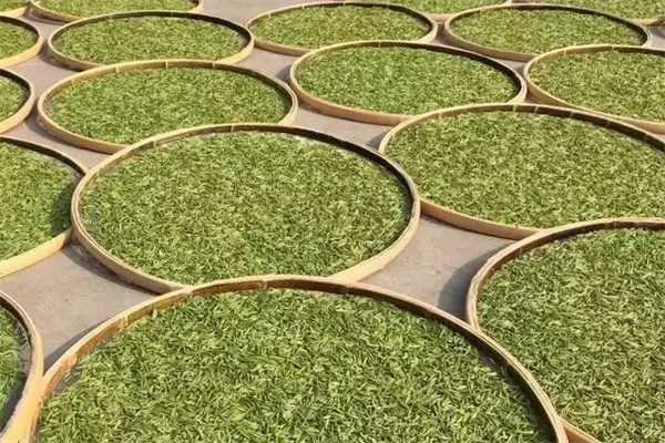 古洞春茶叶加盟