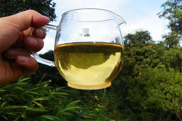 曼熙茶业加盟