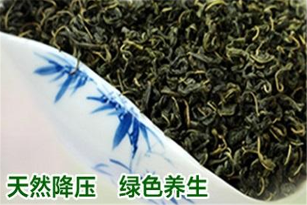 罗布麻茶