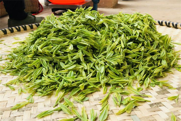 贵蕊茶叶加盟