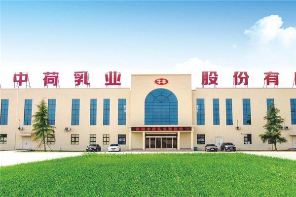 中荷乳业