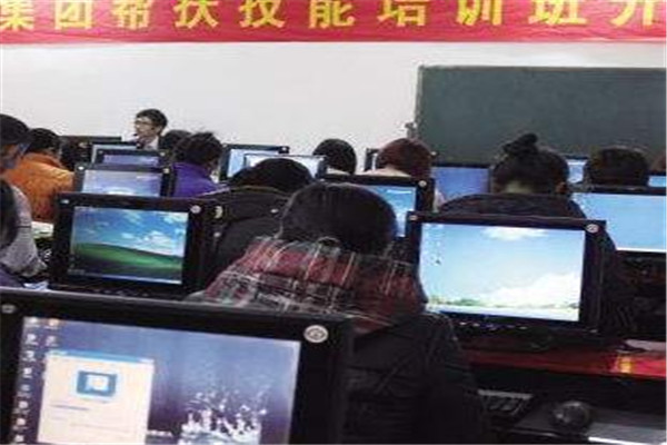 共育在线软件