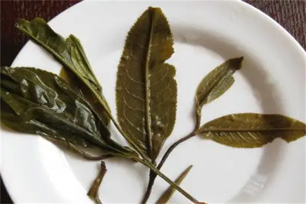 叶雨堂果蔬普洱茶