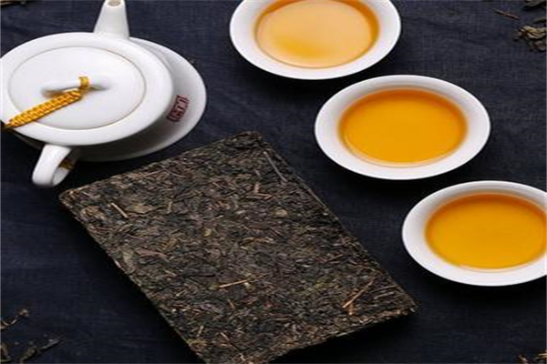 茶树王黑茶加盟