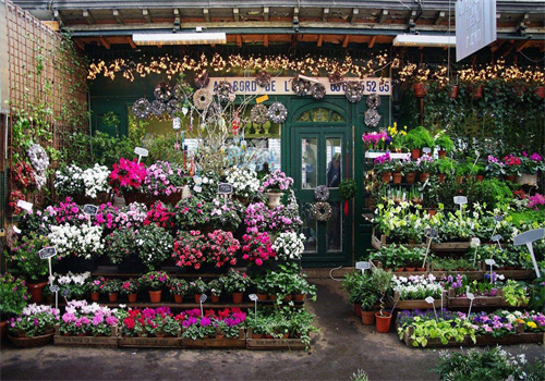 花仙缘花店