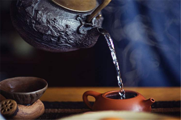特伦生物茶业