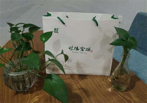 月池紫阳富硒茶