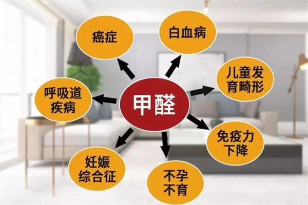 净GG除甲醛加盟