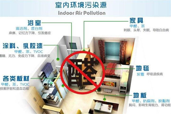 净GG除甲醛加盟