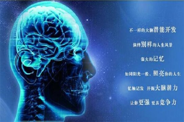 333全脑开发