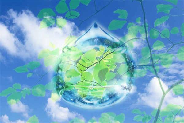 传扬环保加盟