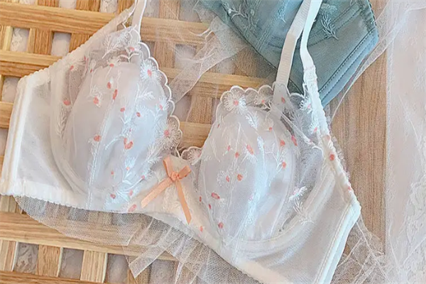 摩登蝶儿内衣