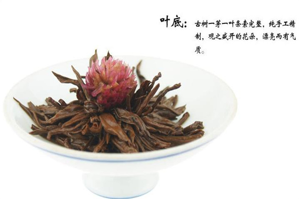 兰馨茶业