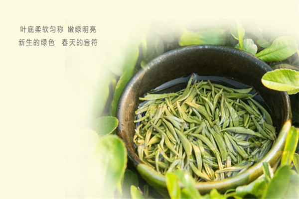福道茶业加盟