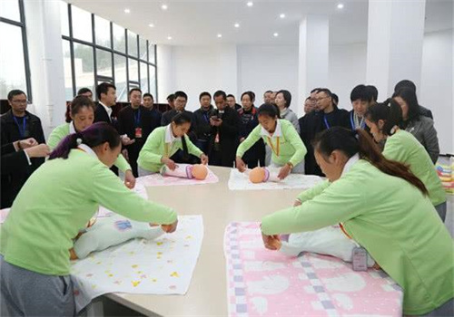 护理帮家政