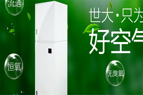 世大新风加盟