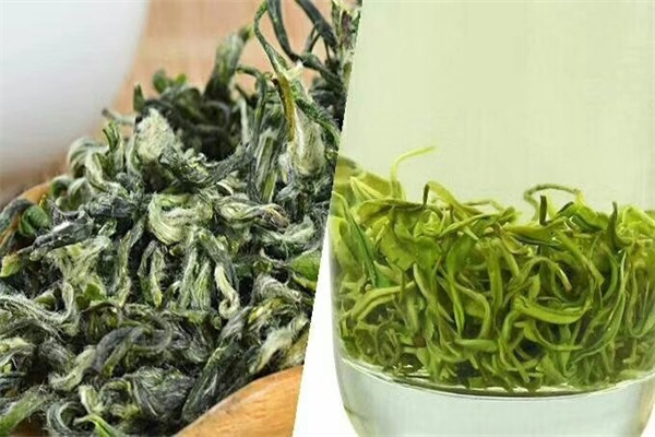 都匀毛尖茶加盟