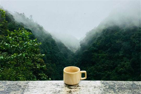 守一轩茶叶