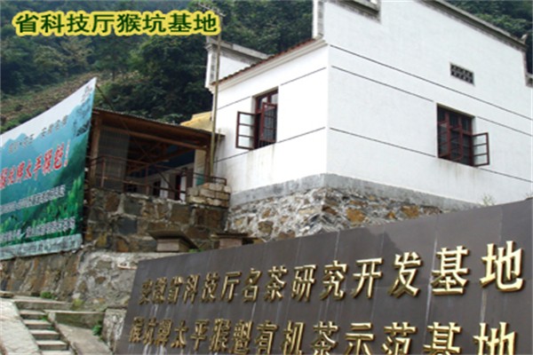 太平猴魁茶加盟