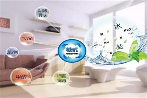 海瑞全屋科技除醛加盟