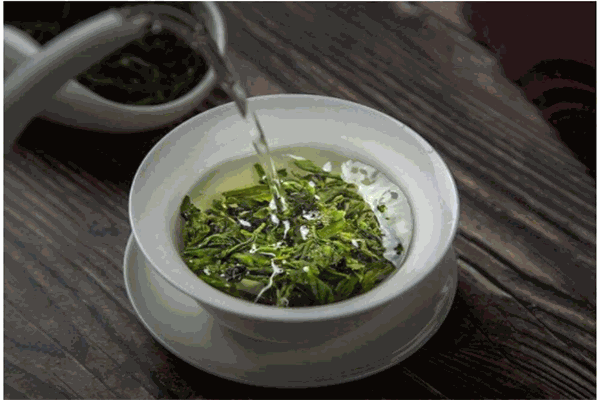 南美马黛茶