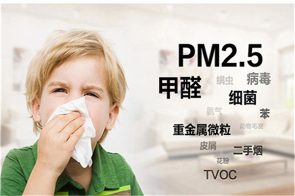 舒安环保空气净化