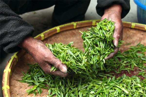 瑞品怡茶业加盟