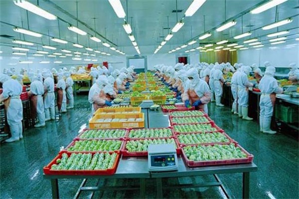 玉立食品加工
