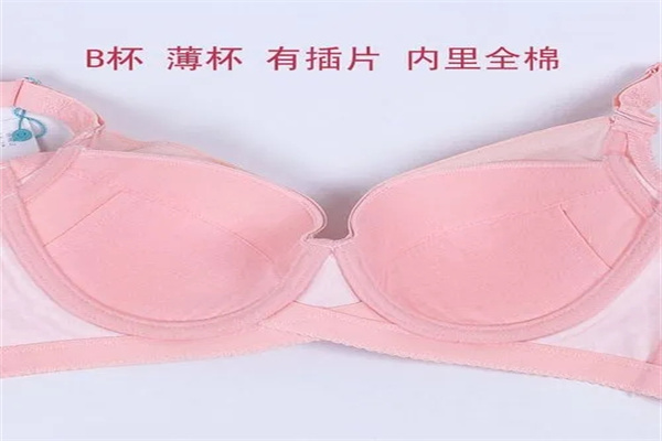 露诗媚文胸加盟