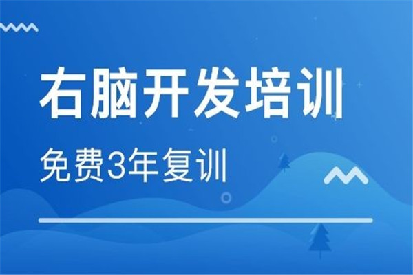 武大思瑞全脑开发