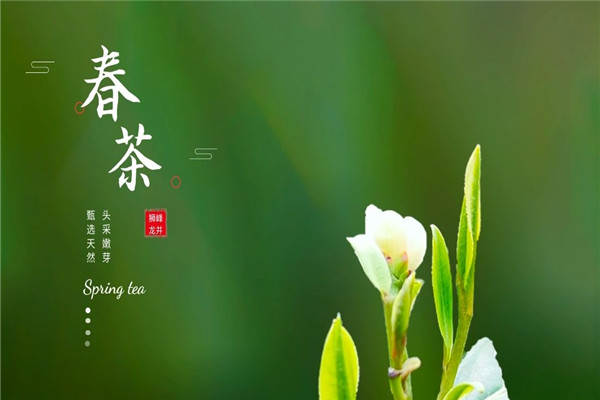 狮峰茶叶加盟