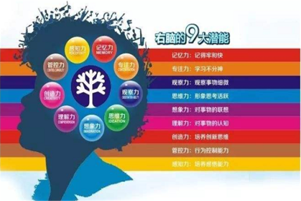 武大思瑞全脑开发
