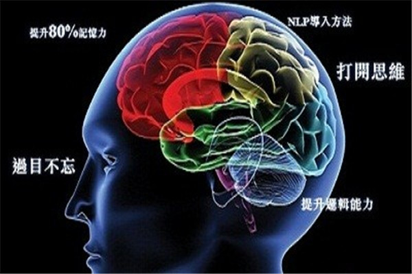 武大思瑞全脑开发