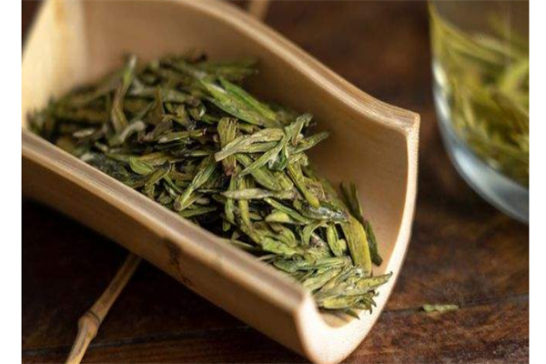 早春绿茶