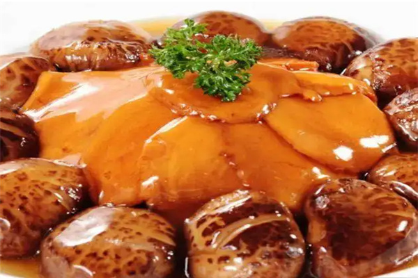 新之光餐饮