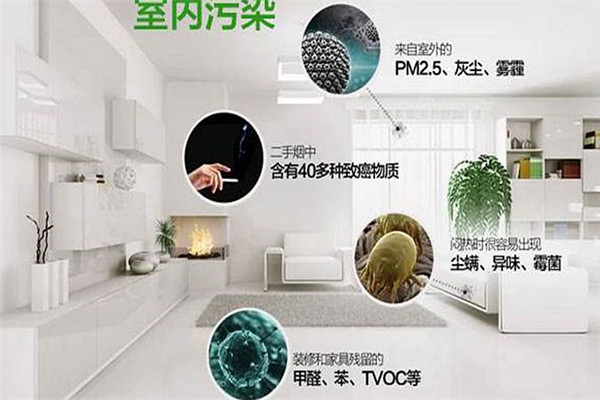 中德睿智除甲醛加盟