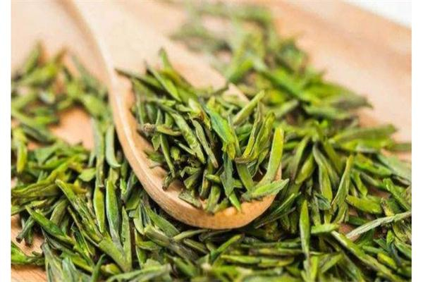 早春绿茶