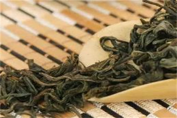 香水茶苗