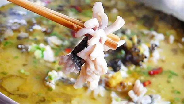 何乌鱼火锅