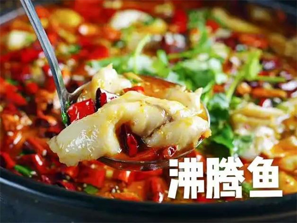 鱼贝勒主题火锅