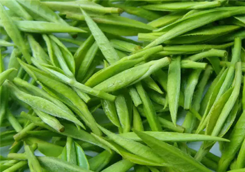 茶寿生态茶叶