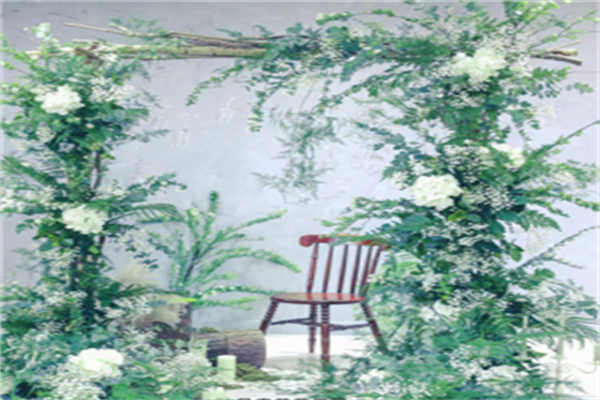 贝特猫鲜花加盟