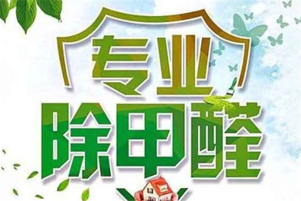 净立方除甲醛加盟