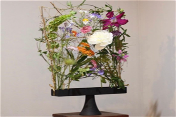 贝特猫鲜花加盟
