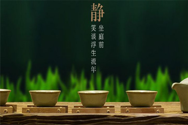 静茶茶业加盟