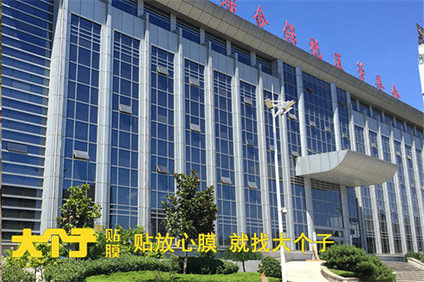 大个子建筑玻璃膜加盟